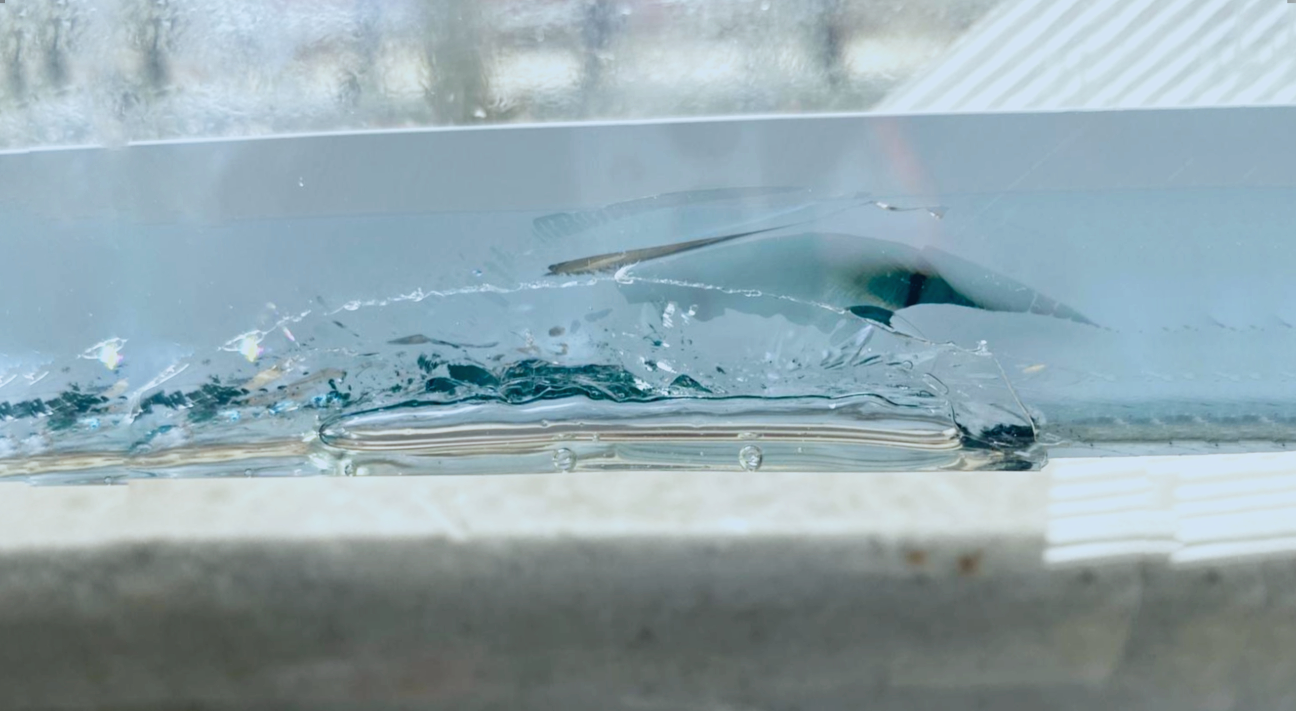 impact sur verre
