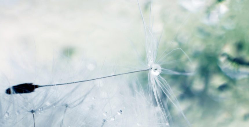 films protecteurs pour vitrages